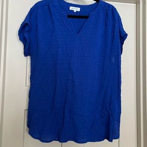 Grace and Lace Swiss dot top